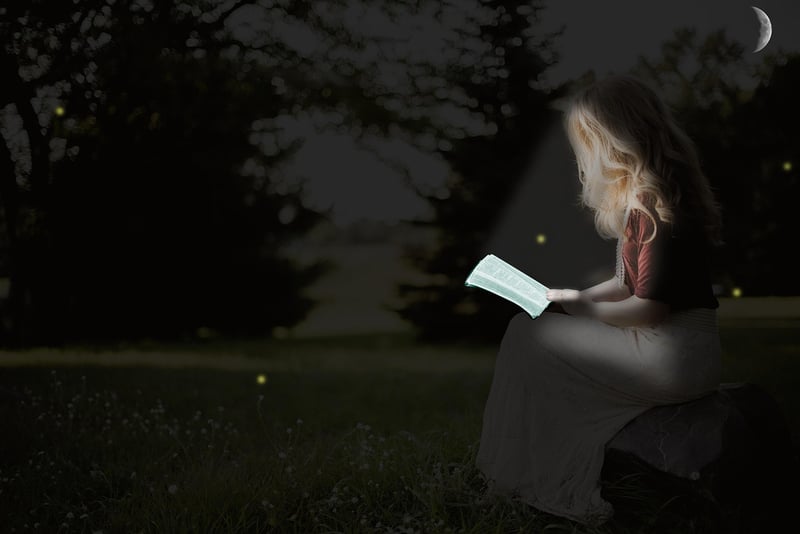 Fireflies